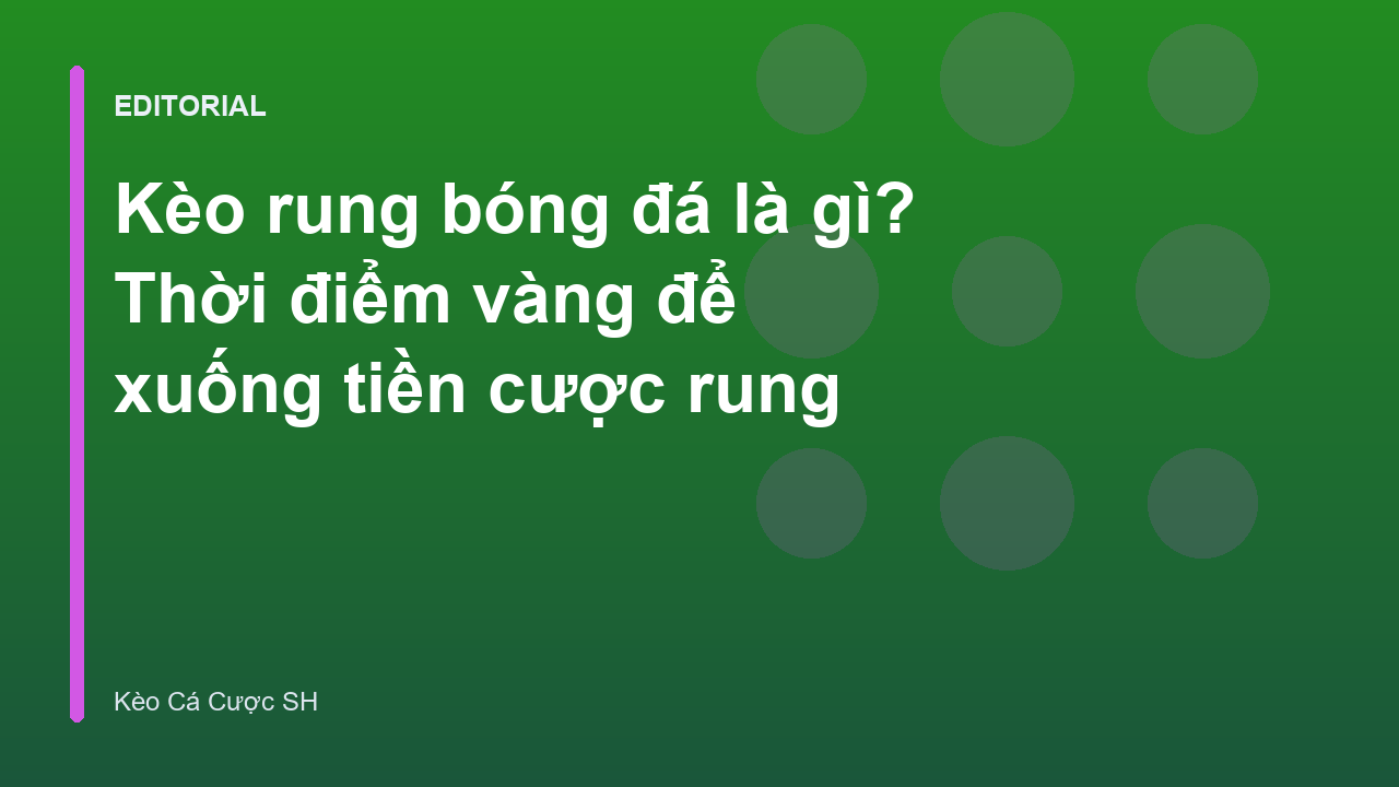 Người chơi đang theo dõi trận đấu để đặt kèo rung bóng đá